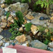 Landscaping For All Seasons